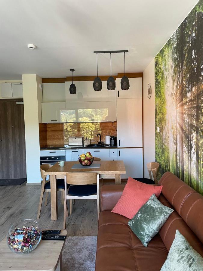 Apartament Delux 2 Шклярска-Поремба Экстерьер фото
